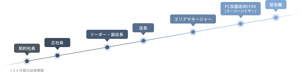 契約社員→正社員→リーダー・副店長→店長→エリアマネージャー→FC加盟店向けSV（スーパーバイザー）→部長職